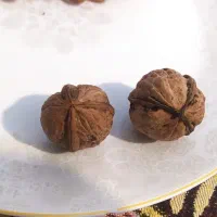 باسلام دوعددگردوسه‌پره‌برای‌بذرفروخته‌میشود