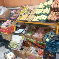 واگذاری مغازه میوه|فروشگاه و مغازه|مشهد, کوشش|دیوار