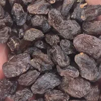 کشمش  بوانات دستگاه رفته بدون چوب و دم