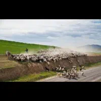 فروش ییلاق بکر در ارتفاعات سبلان برای چرای دام