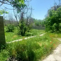 زمین-300متری-کوهسار-خوروین