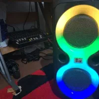 خواننده و نوازننده