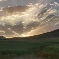 سرمایه گذار مطمعآ