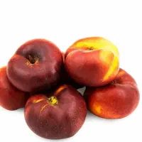 فروش نهال شلیل انجیری|خدمات باغبانی و درختکاری|لردگان, |دیوار