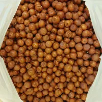 فروش عناب ریز اصیل|خوردنی و آشامیدنی|اسکو, |دیوار