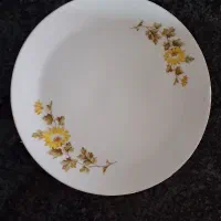 تعدادی ظروف کاربردی