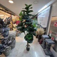 گیاه درختچه مصنوعی گل برگ تکی اقساطی ماه