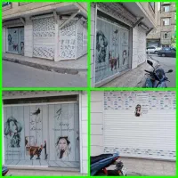 مغازه