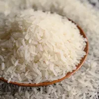 برنج سرلاشه مازندران