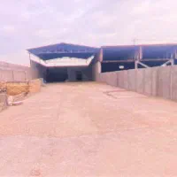 فروش-گاوداری