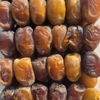 فروش عمده رطب