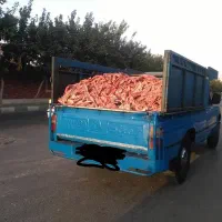 خریدار پوست مرغ وخس
