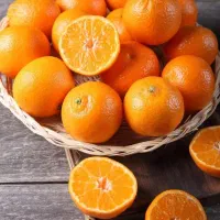 پرتغال چینی انجام میدیم|خدمات باغبانی و درختکاری|قائمشهر, |دیوار