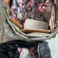 پخش عمده عروسک لبوبو اصل|اسباب‌بازی بچه|شیراز, آبیاری|دیوار