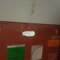 چینی زرین طرح صدف|ظروف سرو و پذیرایی|ساری, |دیوار