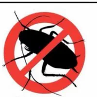 نابودی انواع سوسک‌های ریز و درشت تخم گذار کابینتی