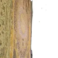 موکت|روفرشی|اهواز, کمپلو جنوبی|دیوار