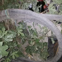 شلنگ۳لا نخدارهیدرولیکی مناسب صنعتوکشاورزیوساختمانی|مصالح و تجهیزات ساختمان|هرسین, |دیوار