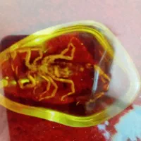 رزین اصلی|بدلیجات|کرمانشاه, |دیوار