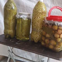 محصولات ارگانیک مشکین شهر