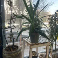 واحد آپارتمان ۸۰متر مجتمع عروس دامادی