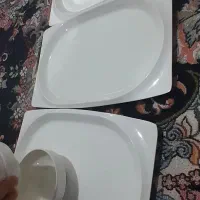 ظرف میلامین