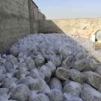 تفاله چقندر