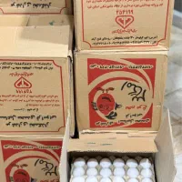 تخم مرغ عمده|خوردنی و آشامیدنی|تهران, اسکندری|دیوار