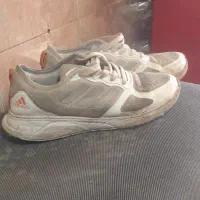 کتانی اصل|کیف، کفش، کمربند|اردبیل, |دیوار