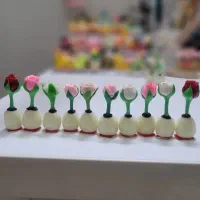 قشنگ مشنگ