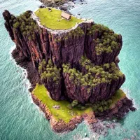 مخصوص بانوان جدی وپر تلاش