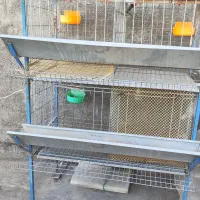 قفس مرغ و بلدرچین