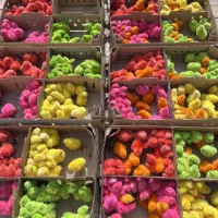 جوجه رنگی|حیوانات مزرعه|تهران, ترمینال جنوب|دیوار