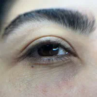 انجام لیفت ابرو و مژه|خدمات آرایشگری و زیبایی|رشت, استادسرا|دیوار