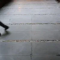 اجرای جدول کاری وکفپوش ومحوطه بامصالح ودستمزد|خدمات پیشه و مهارت|تهران, افسریه شمالی|دیوار