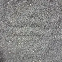 فروش بذرپیاز سفید