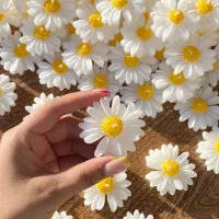 شمع گل بابونه