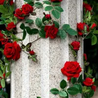 باغبانی و فضای سبز