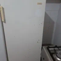 یک عددیخچال آزمایش سالمه سالم