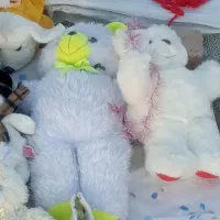 عروسک همه مدل|اسباب‌بازی بچه|بیرجند, |دیوار