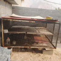 فروش قفسه مرغ