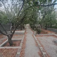 باغچه-200-متری-سندار-قجراباد