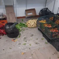 قفسه میوه|فروشگاه و مغازه|بندر ماهشهر, |دیوار