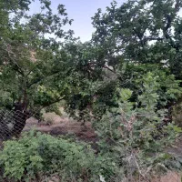 160متر-زمین-درطالقانی-41