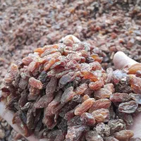 آفتابی کشمش