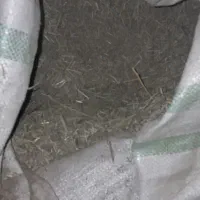 کاه‌یونجه|لوازم جانبی حیوانات|بروجرد, |دیوار