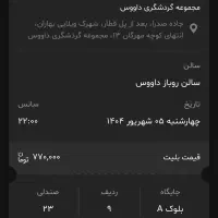 بلیت کنسرت علی زندوکیلی