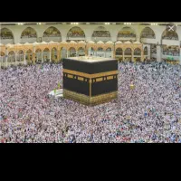 خرید فیش تمتع