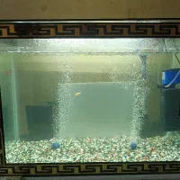 اکواریوم باتمام لوازمات