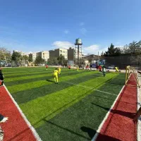 انواع چمن مصنوعی، فوتبالی و تزیینی